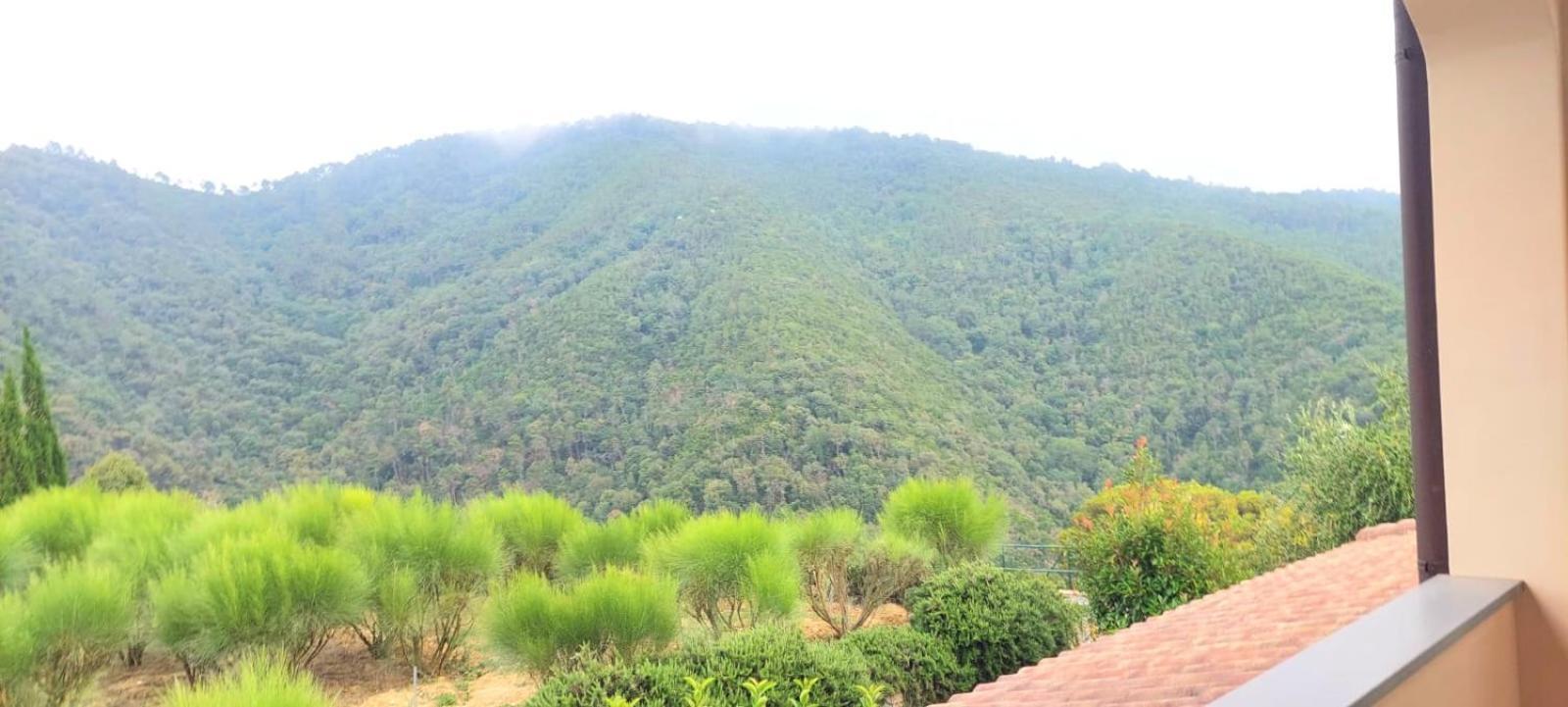 Antico Principato Di Seborga * Vallebona